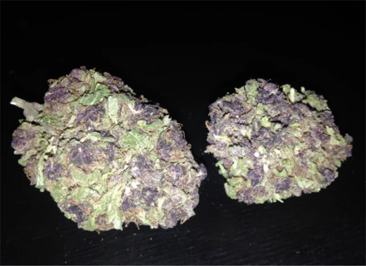 blackberry kush cannabis