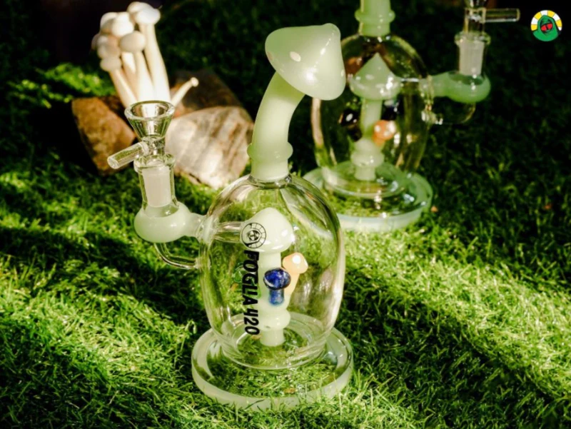 Mushroom Bong by FOGLIA CLUB