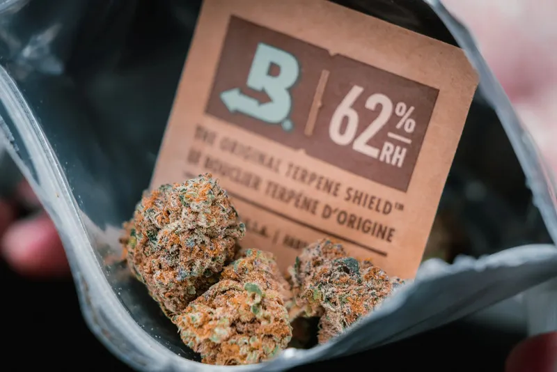 วิธีรักษาความสดของกัญชาของคุณด้วย กันชื้นกัญชา 3 Boveda Size 8 Cannabis 10-Pack