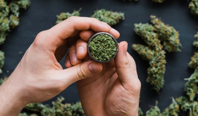 OG Kush: ผลกระทบ ประโยชน์ และอื่นๆ 4 สายพันธุ์กัญชานี้มักจะทำให้ผ่อนคลายได้ล้ำลึก