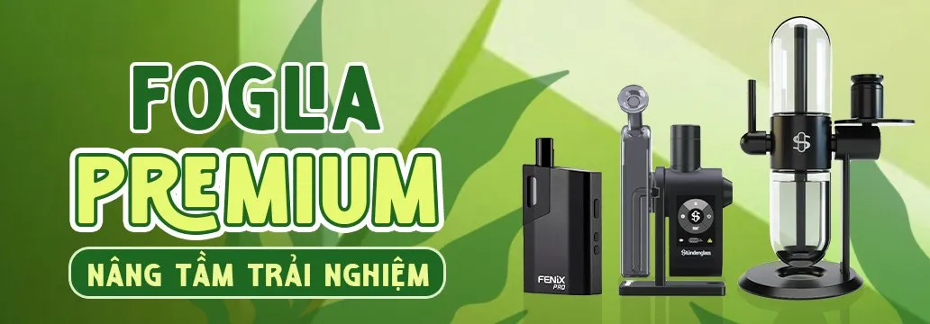 foglia premium 1